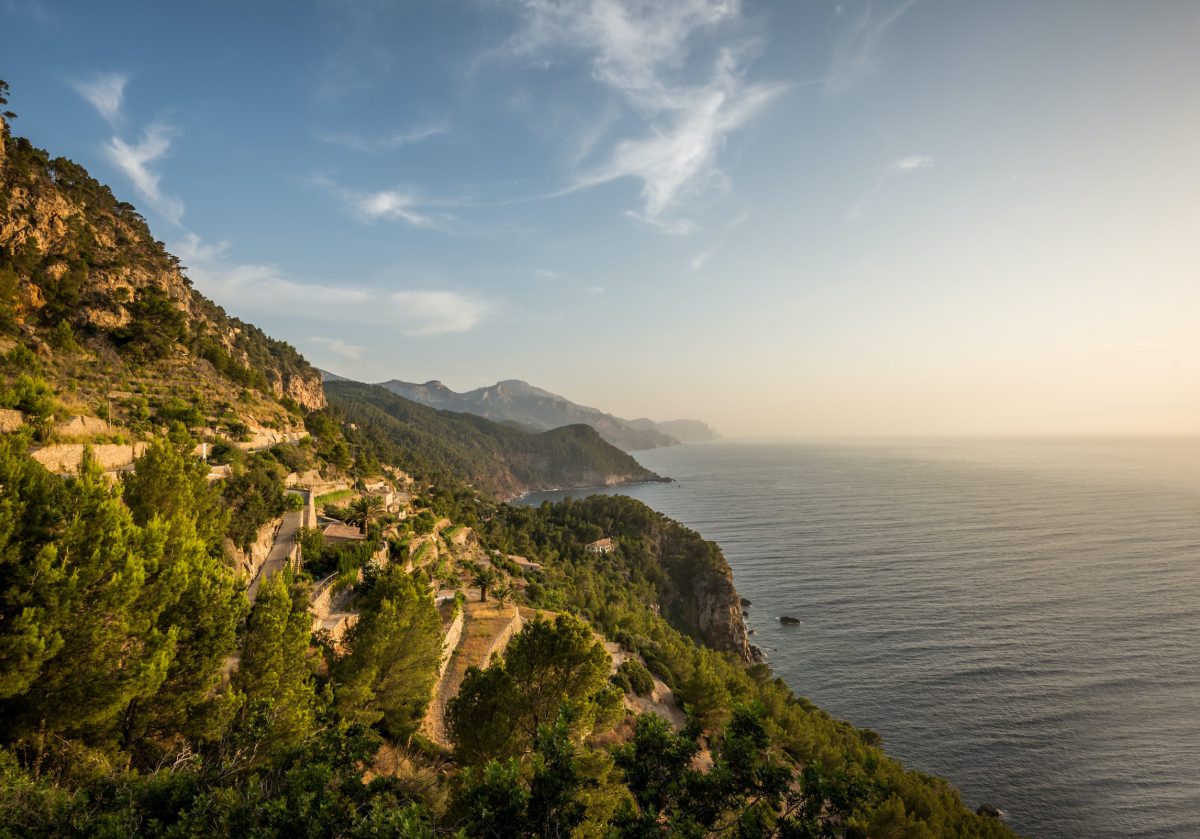 Excursión a la Serra de Tramuntana.